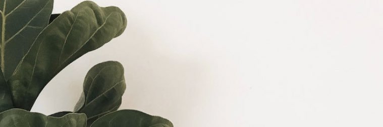 theanaduarte's profile banner image