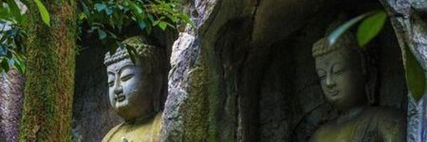 LotusLimestone Profile Banner