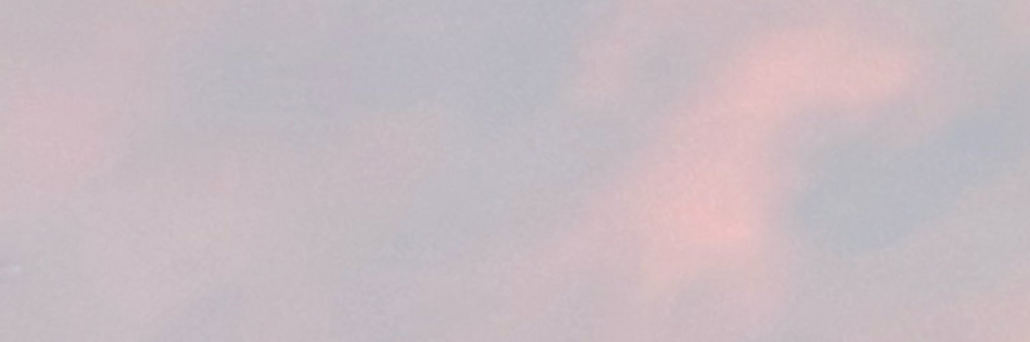 LiLi banner