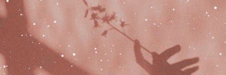 ᶻᵉᵉ banner