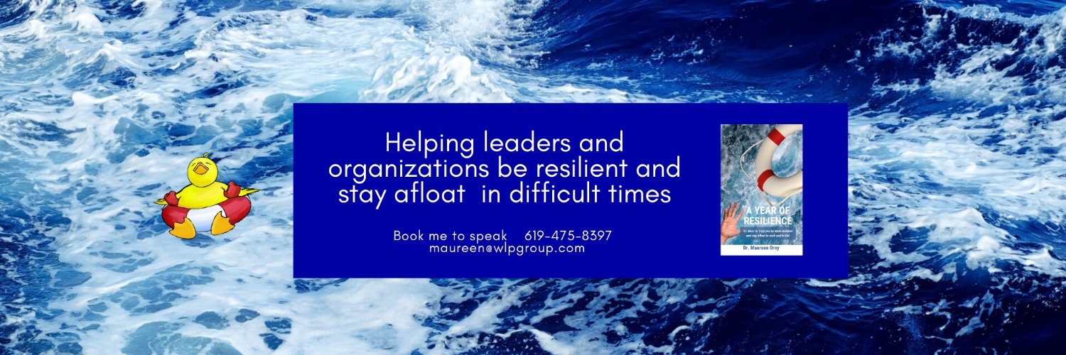 trainingleader's profile banner image