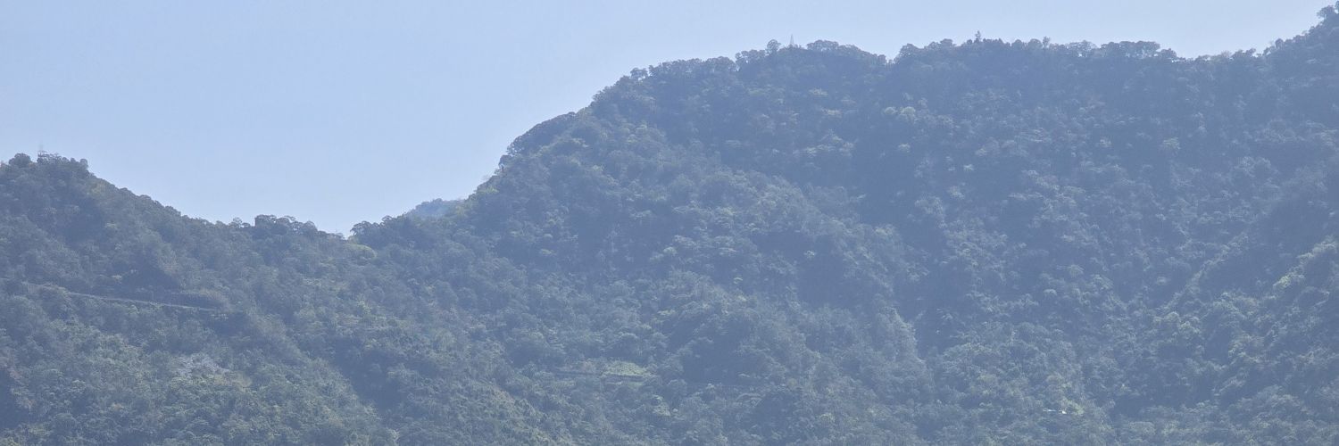 panghu0601's profile banner image