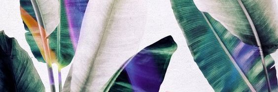 _KINKYHIGH's profile banner image