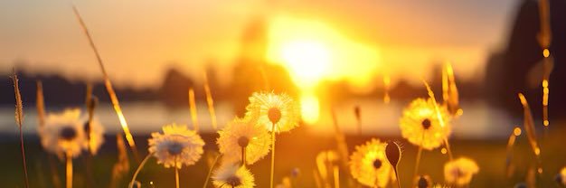 Faith & Ballots 🇺🇸 banner