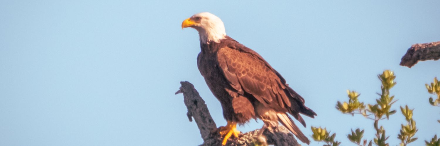 MatthewDun18561's profile banner image