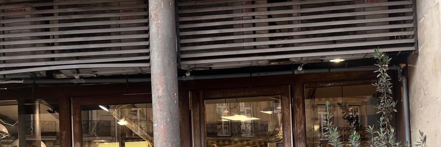 fayna (mt after dm) banner