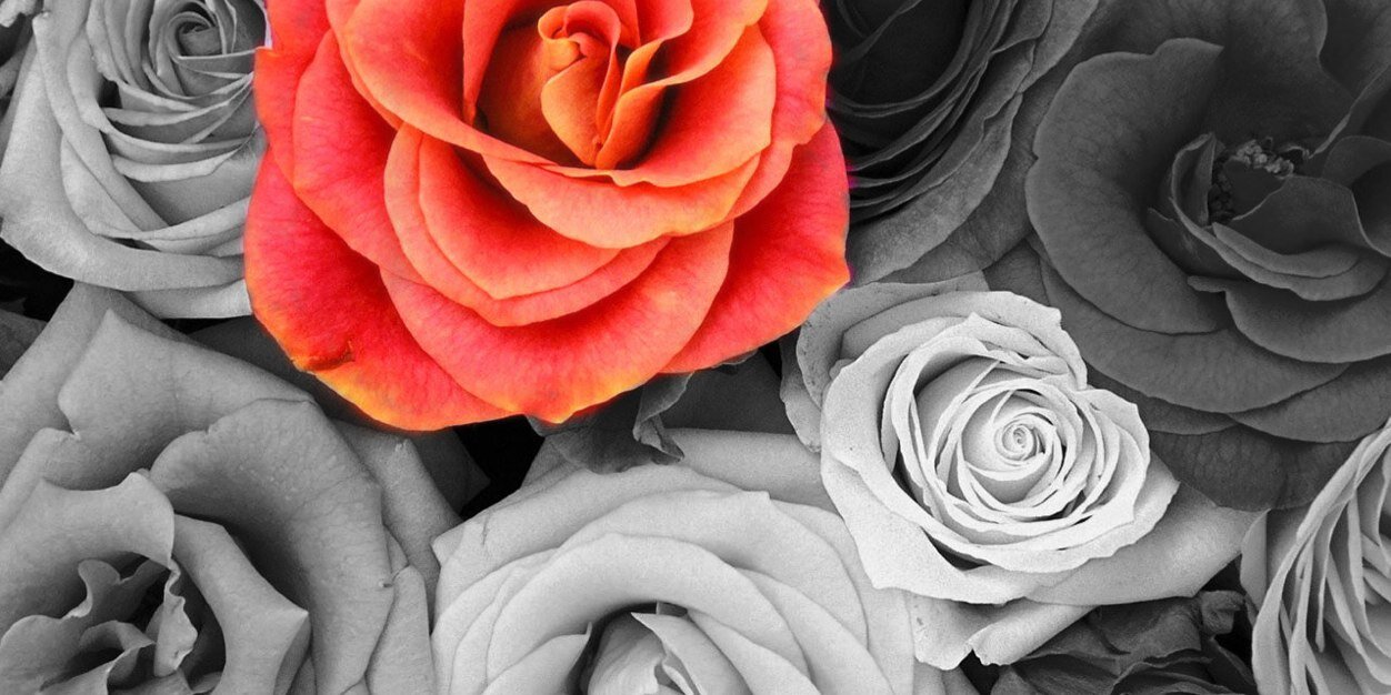 kate_day96's profile banner image