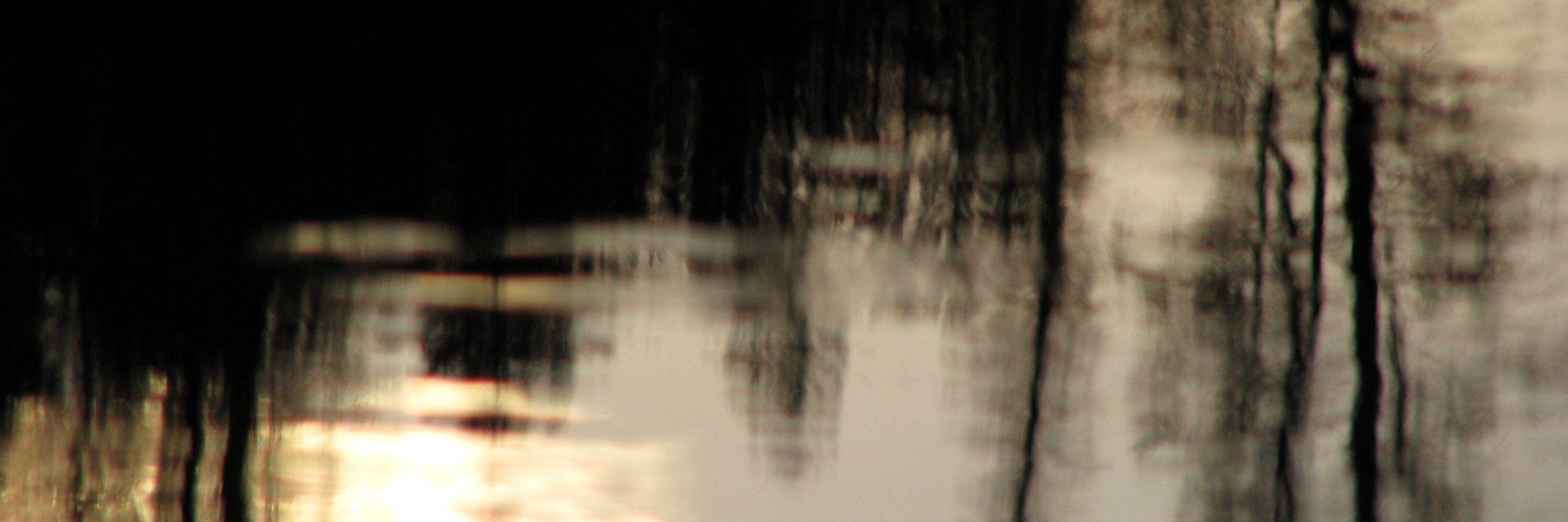321centralpark's profile banner image