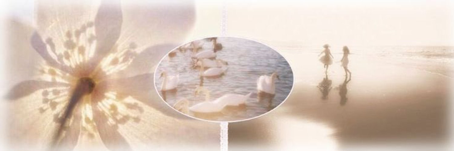 laur* ˚｡⋆౨ৎ˚'s banner
