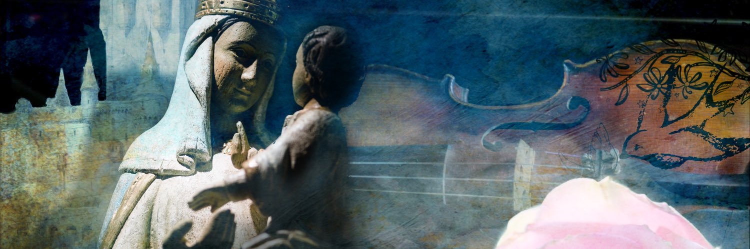 ThePoliticalViolin's banner