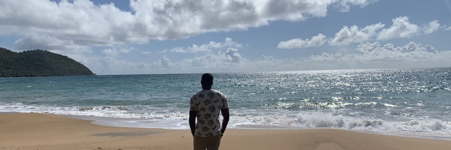 🦍 banner