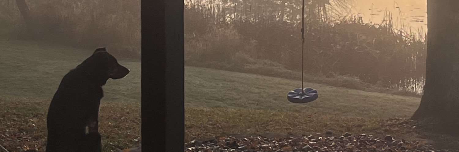 JTylerReiss's profile banner image