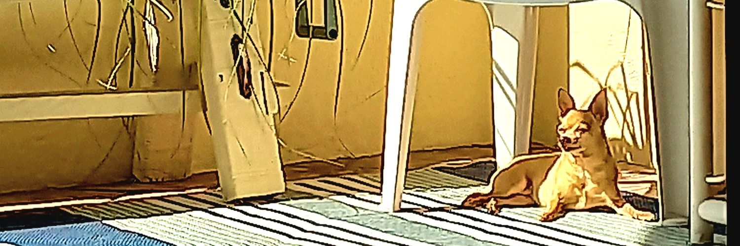 Debra The.is's banner
