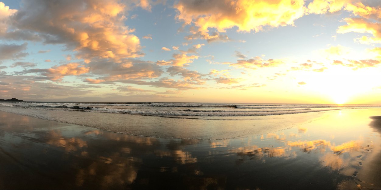 Cole Walliser banner