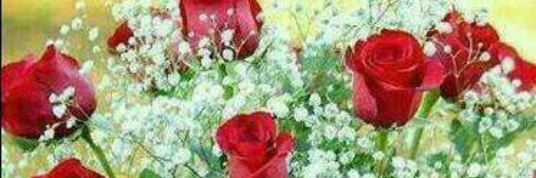 qabool68's profile banner image