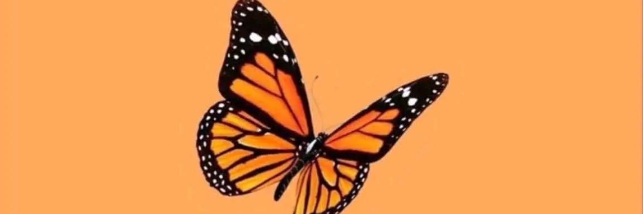 morgrenfro's profile banner image