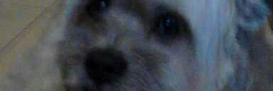 TXISPITA👁️👄👁️ 😇 banner
