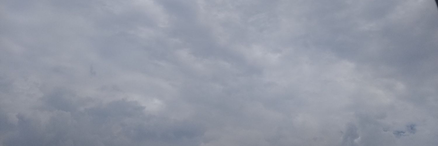Renata Lazo banner