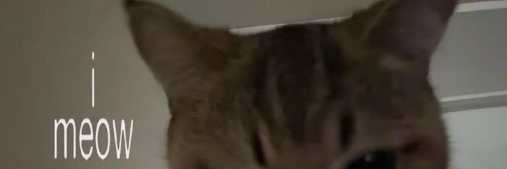 acilitut's profile banner image