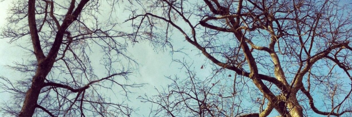 hannahtruscott's profile banner image