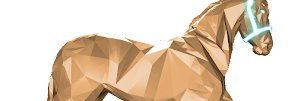 petrustsg's profile banner image