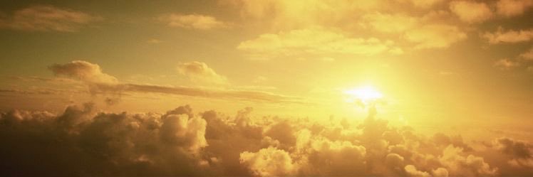 Abbey☀️ banner