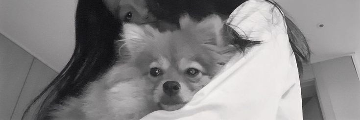 𝖣𝘳𝘦𝖺. banner