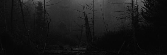 freakin_special's profile banner image