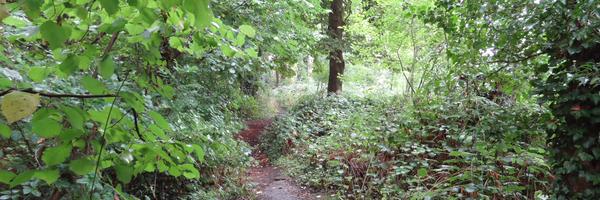 piers_allen Profile Banner