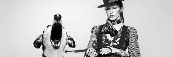 fxckabigail's profile banner image