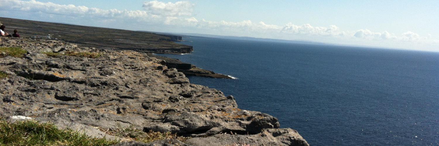 Tara McDermott banner