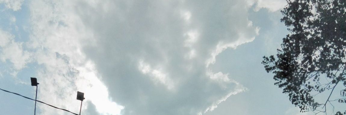 malovvaass's profile banner image