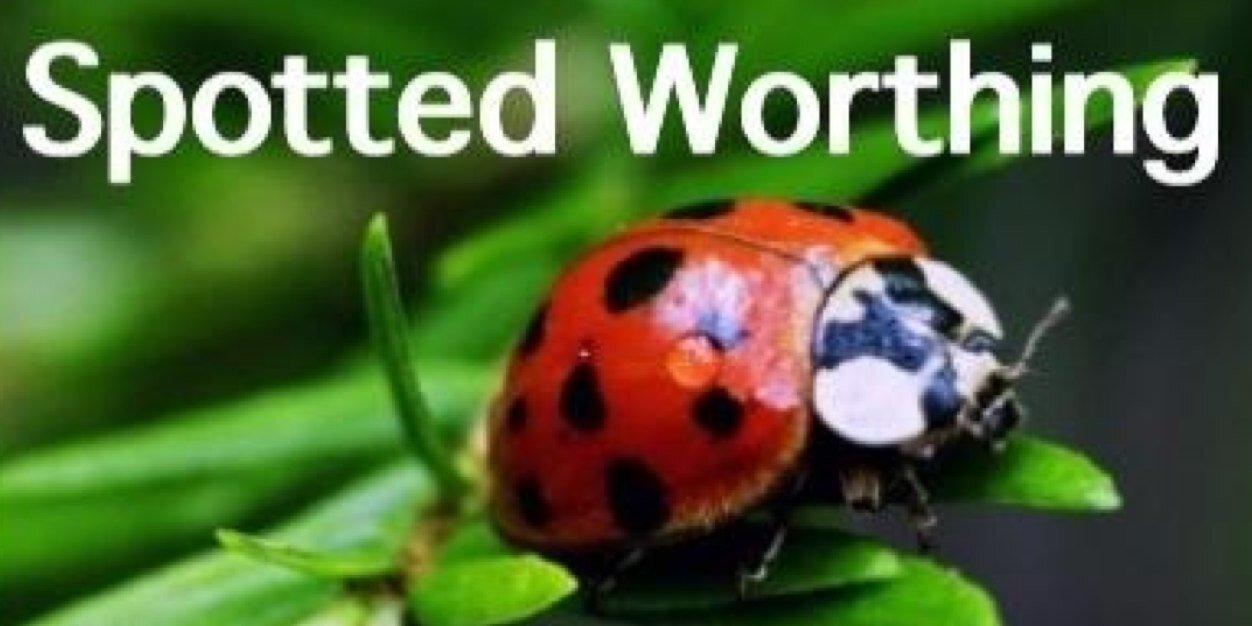 SpottedWorthing's profile banner image