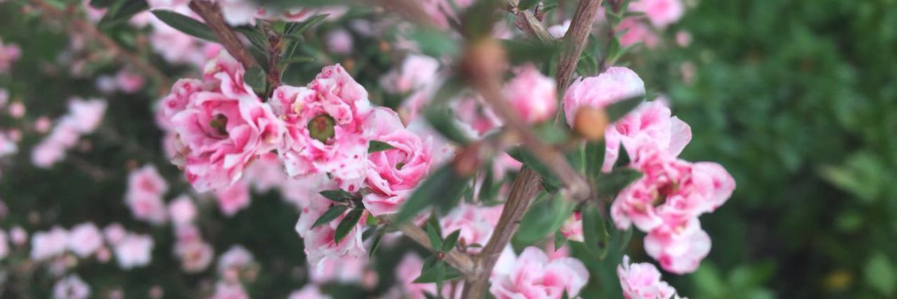 ValentinaSeg's profile banner image