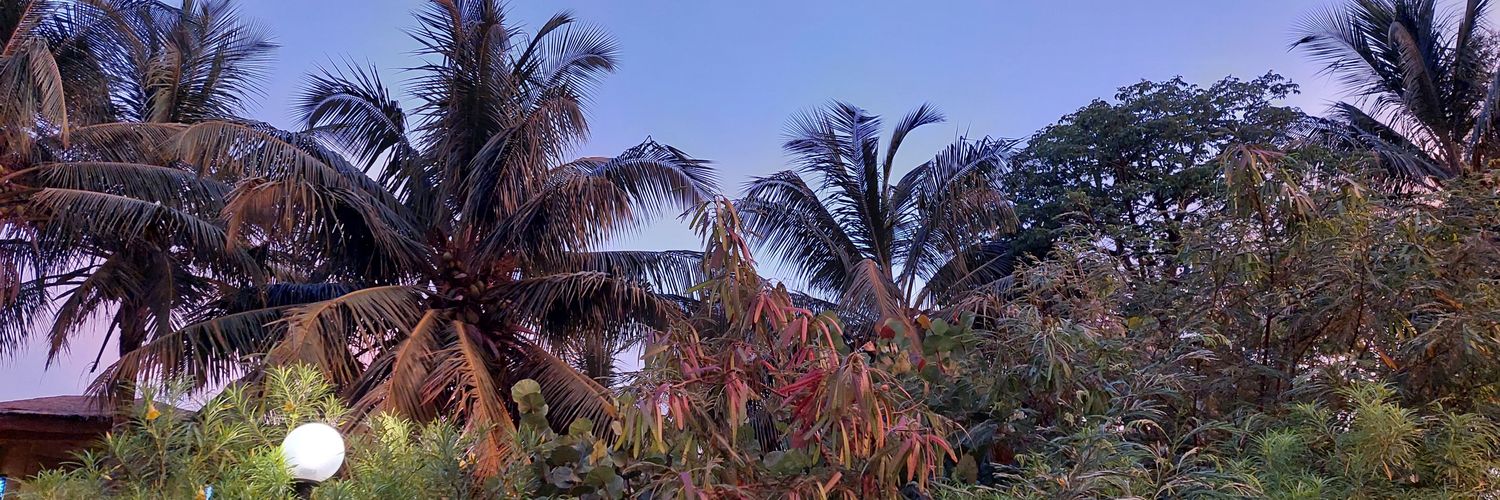 roseaurouge's profile banner image