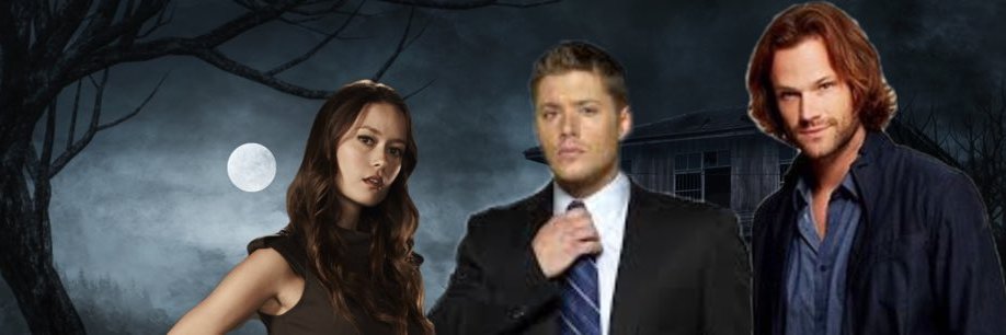 RebelhunterSW's profile banner image