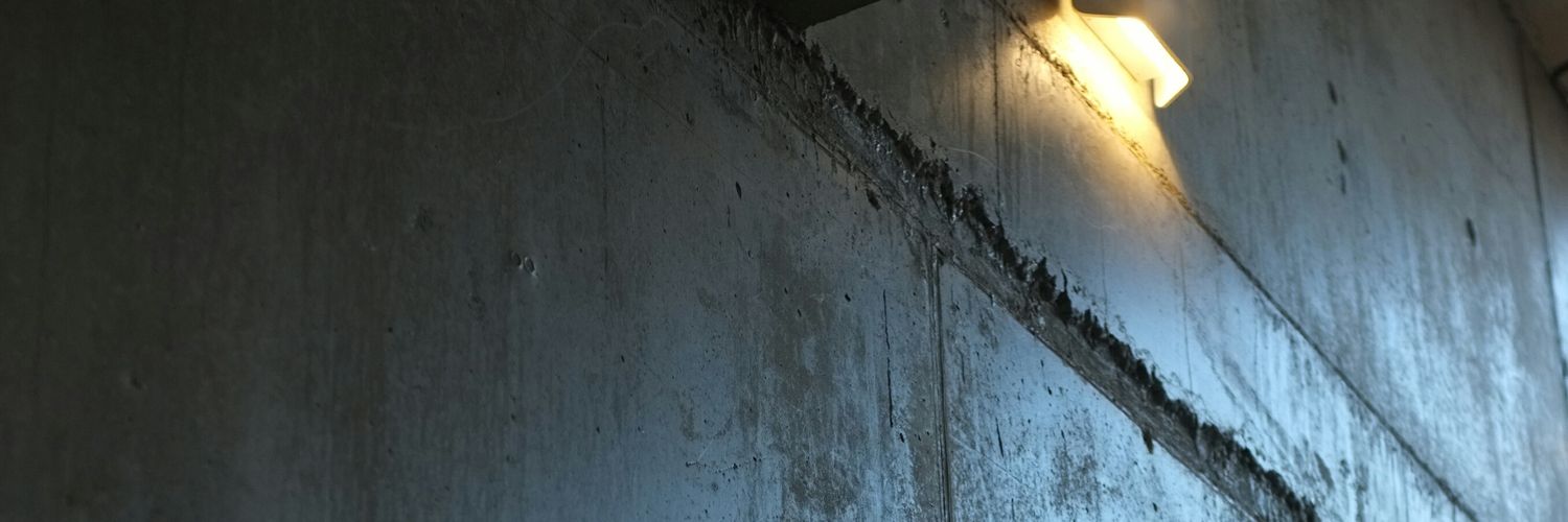 StellaLindstam's profile banner image