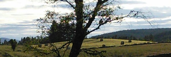 djdelane Profile Banner