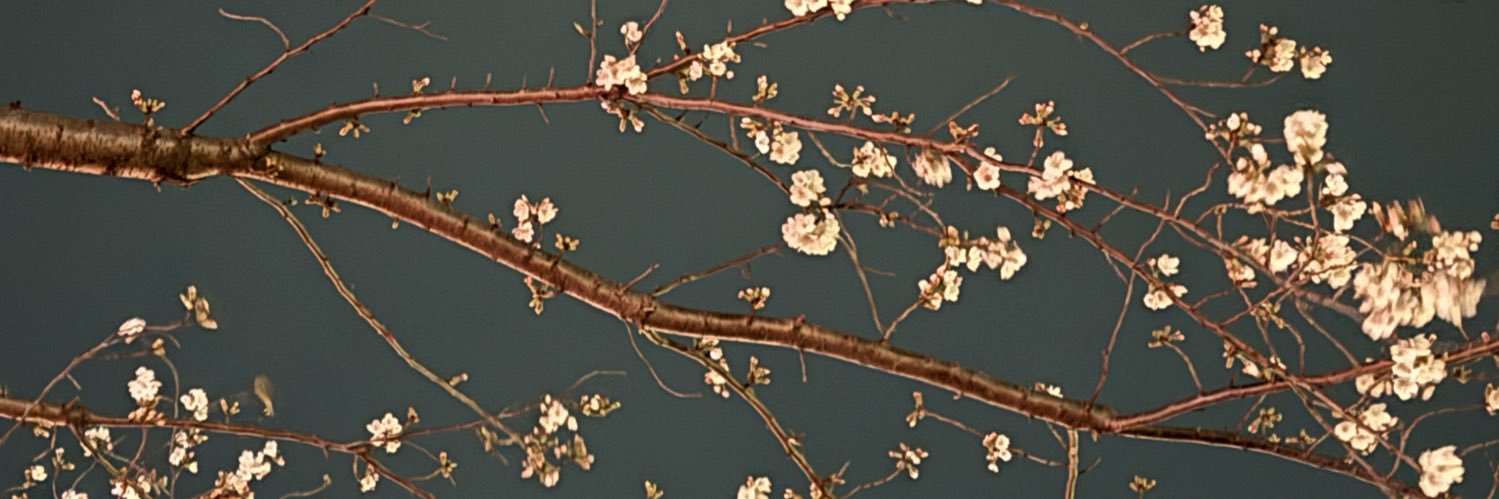 ﾍﾞﾘ banner