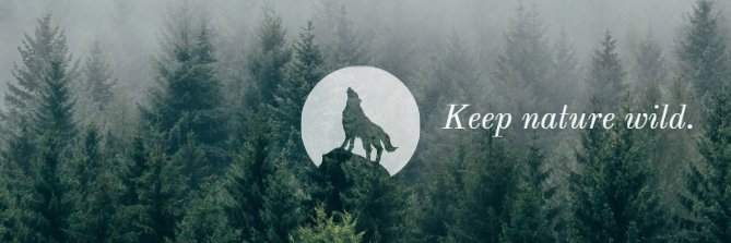 kuvera_sid's profile banner image