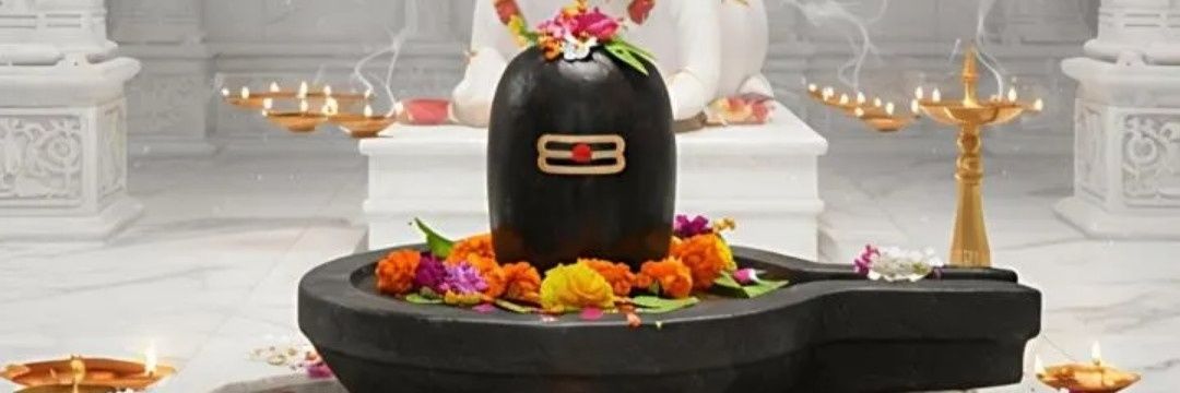 Rm sanghavi ( मोदी का परिवार)'s banner
