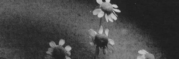 theemptylifee's profile banner image