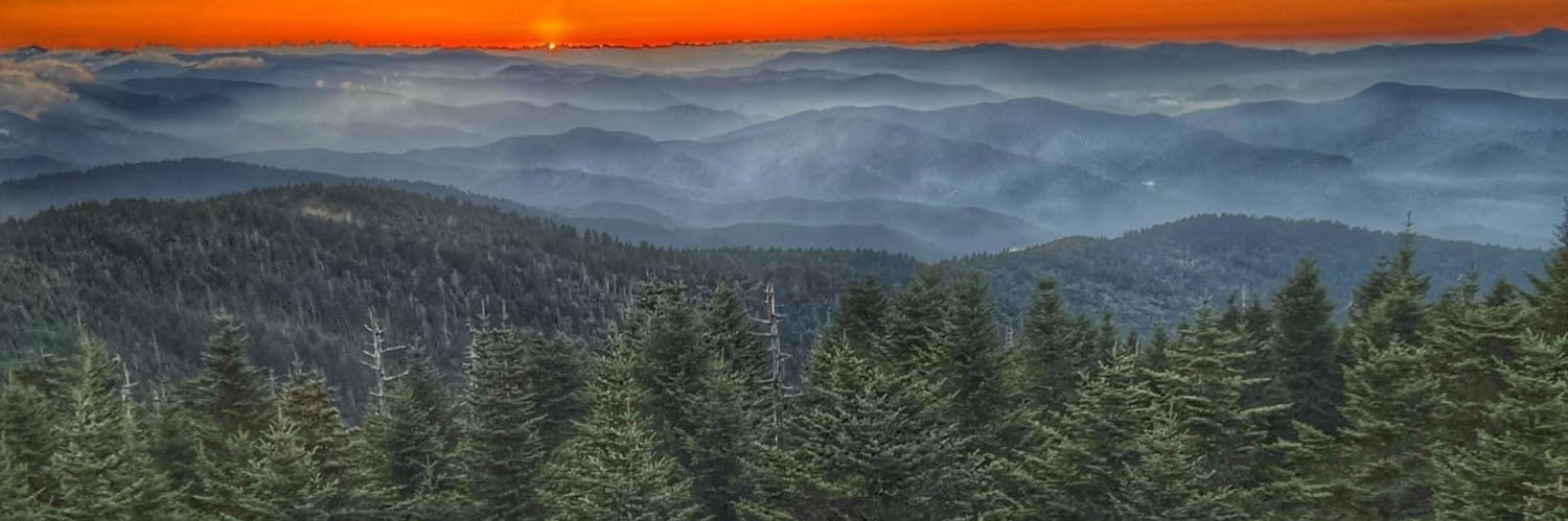 HalieNichole__'s profile banner image
