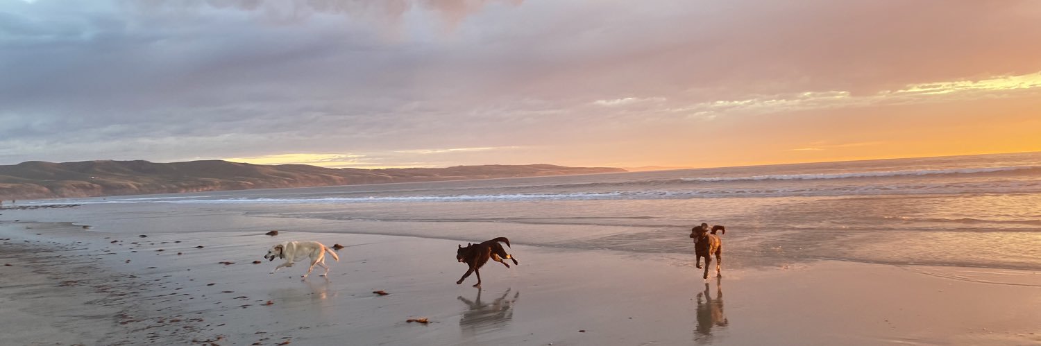 Ellen Fraser-Barbour banner