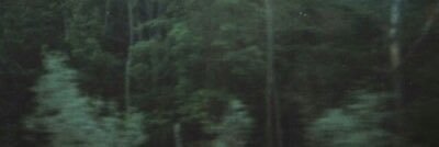 dobrevosey's profile banner image
