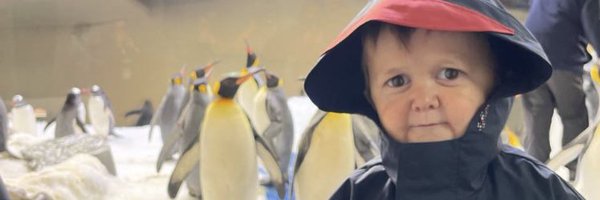 Silloppy Profile Banner