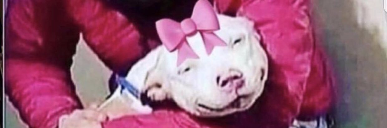 kirbym__'s profile banner image