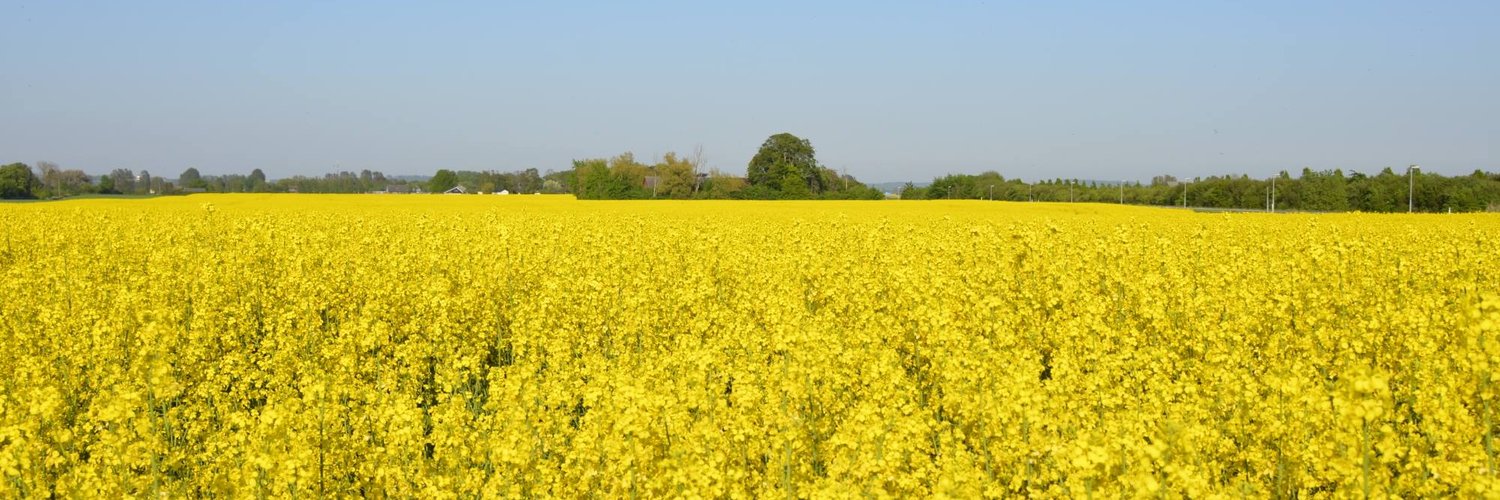 The Local Sweden Profile Banner