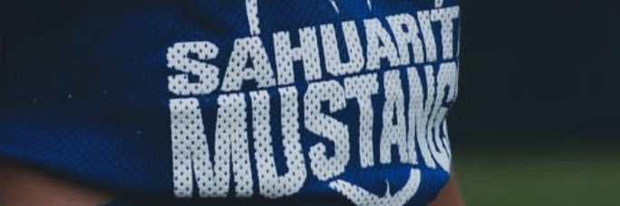 Logan banner