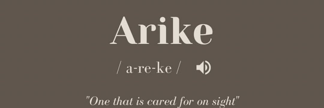 Arikeeeeeeeee's profile banner image